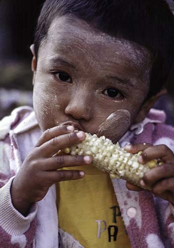 Child Eating Corn, Myanmar (Burma)